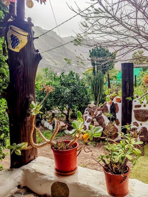 Villa Tamadaba アガエテ エクステリア 写真